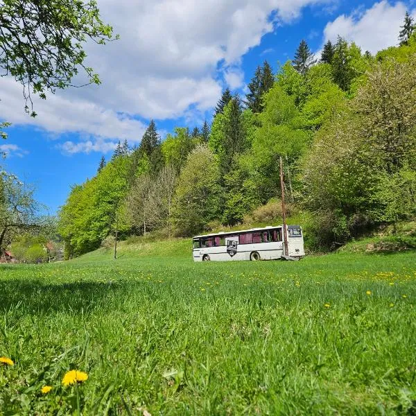 Bed in Bus, hotel v destinaci Kolárovice