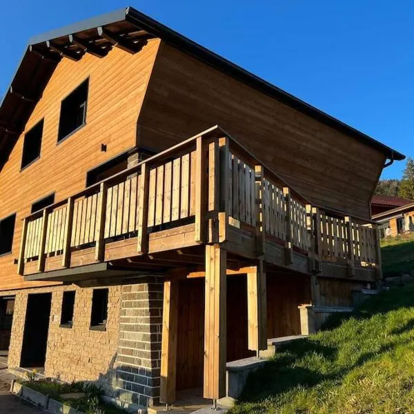 Superbe Chalet refait à neuf, idéal famille, Sportifs 2 nuits minimum, hotel v destinaci Xonrupt-Longemer