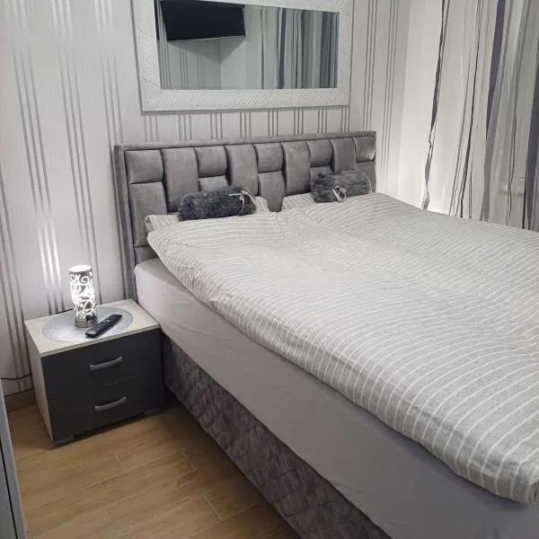 Apartman Dolly Vrnjacka banja, hôtel à Vrnjačka Banja