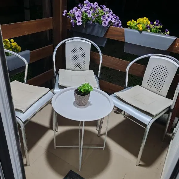 Sveti Luka- OBRADOVIĆ SOKAK 41, hotel in Šimanovci