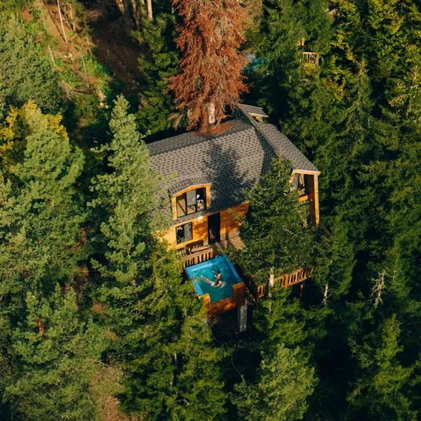 Cottage Galileo in Abastumani, hotel v destinaci Abastumani