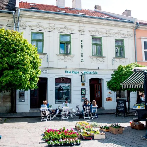 Villa Regia, hotel in Košice