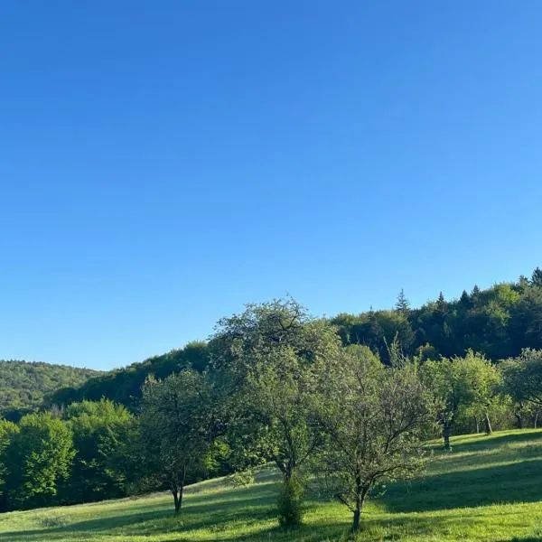 Apartmán Zuzka, hotel in Radoma