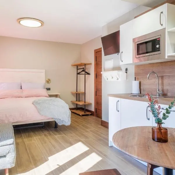 El Rincón de Andrea Estudios, hotel in Biescas