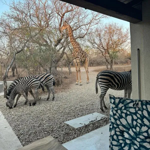 Chui House A Bush Retreat with Pool and AC Near Kruger Gate, hotel in Marloth Park