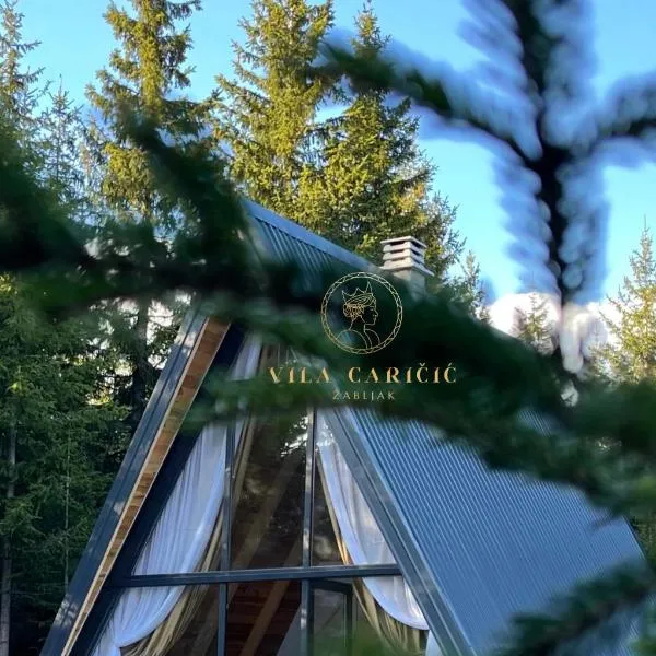 Vila Caričić Žabljak, hotel en Žabljak