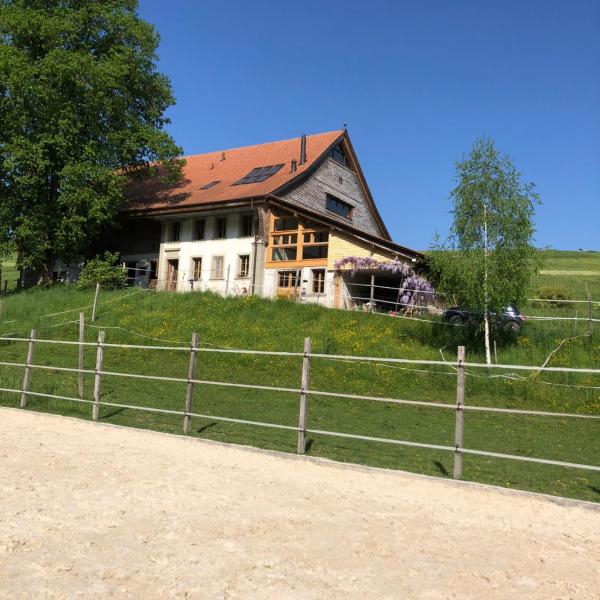 Sérénité et Nature dans une ferme équestre - loft lumineux de 140m2, Massonnens