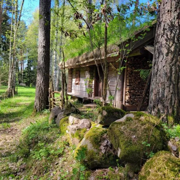 Timmerstugan i skogen, Hotel in Tibro