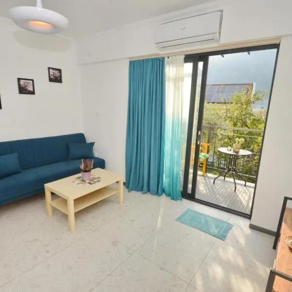 Apartments Spasoje, hotel en Kotor