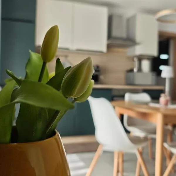 Apartma Mia Nadiža, hotel in Kobarid