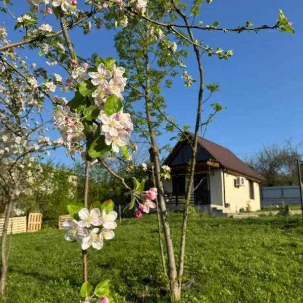 Cottage space，位于安布罗劳里的酒店