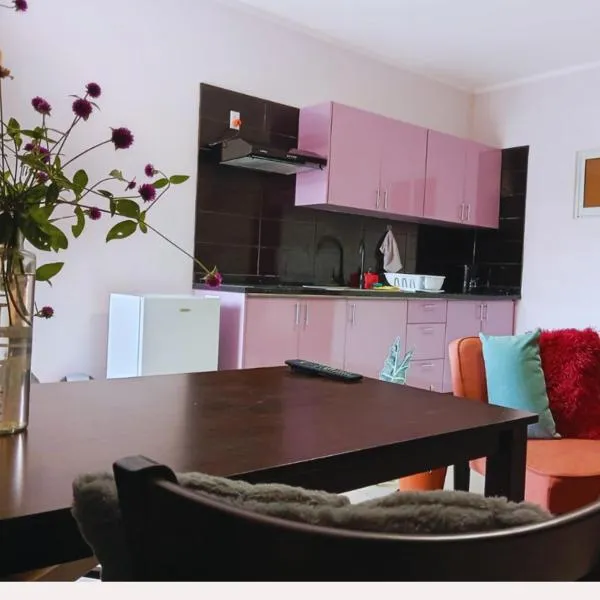 Spacious 1-BR Studio with Fast WIFI l Work-Friendly Stay、パラマリボのホテル