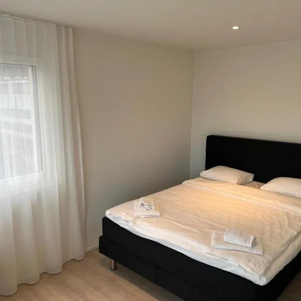 Stunning Apartments, Bernina - Self Checkin，位于苏黎世的酒店