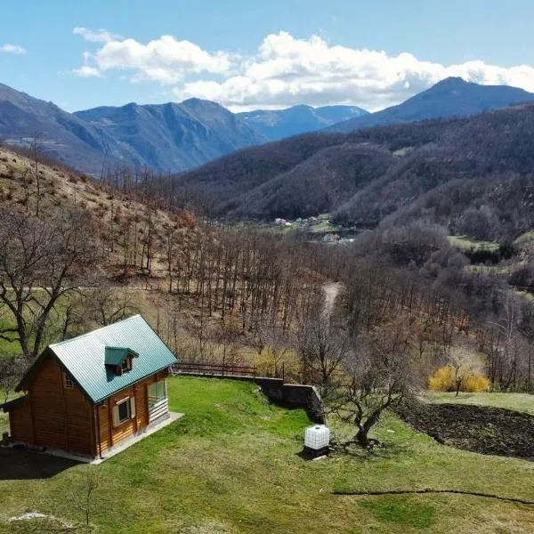 Red Forest house, hotel in Andrijevica