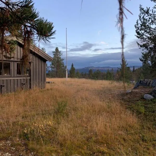Large and family friendly cabin near Langedrag, hotel en Tunhovd