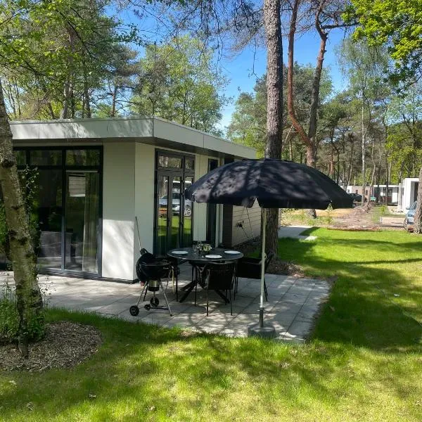 Vakantie woning "Huisje Boszicht", Hotel in Haarle