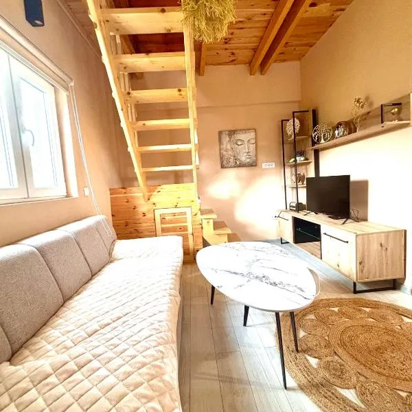 Lux Montis、Ninkovićiのホテル