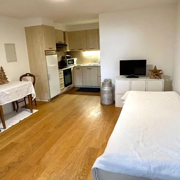 La boille, hotel in Villars-sur-Ollon