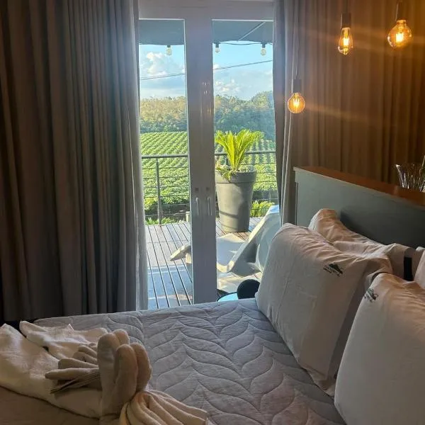 Vista Vigneti Albergo & Vino - Vale dos Vinhedos、ベント・ゴンサルベスのホテル