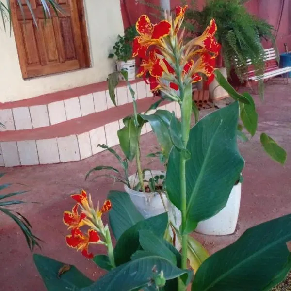 Apart Venecia, hotel in Puerto Iguazú