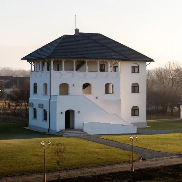 Pensiunea Cocosel, hotel v destinaci Căstău