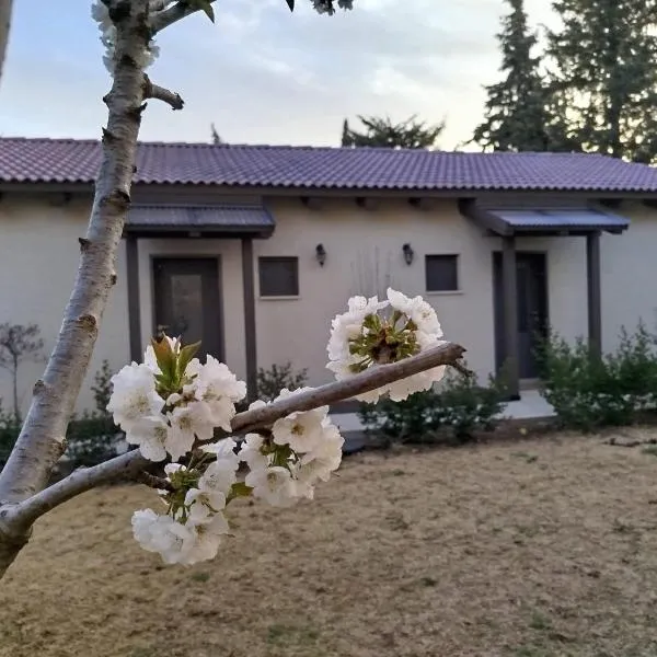 דצ'א - Дача - Dacha, ξενοδοχείο σε El-Rom