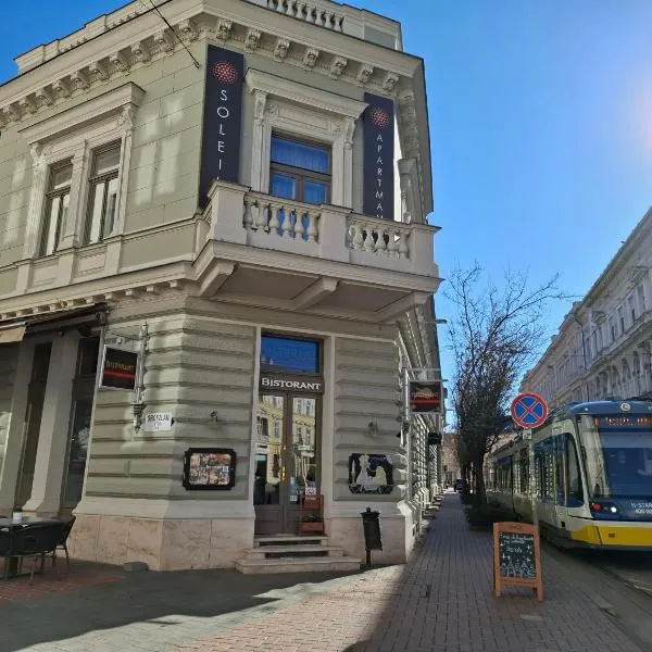 苏雷塞格拉酒店，位于塞格德的酒店