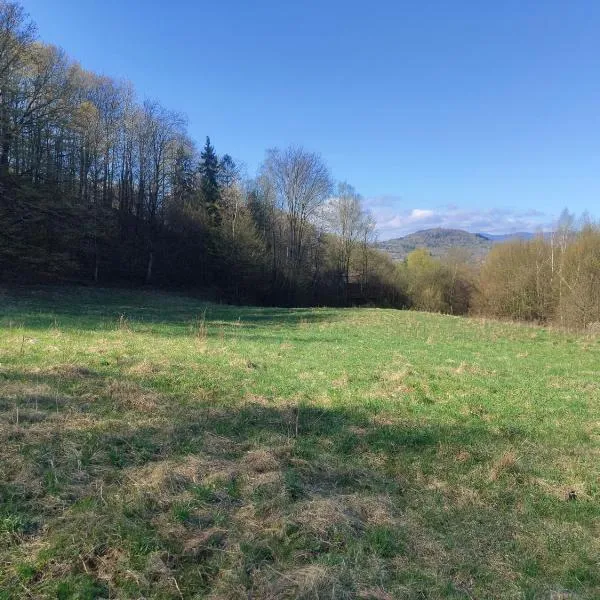 Genius, hotel in Żywiec