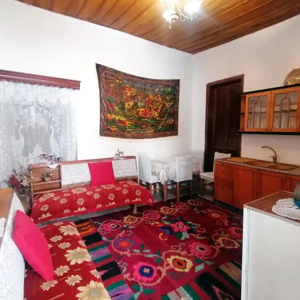 Karagjozi Guesthouse, hotell sihtkohas Gjirokastër