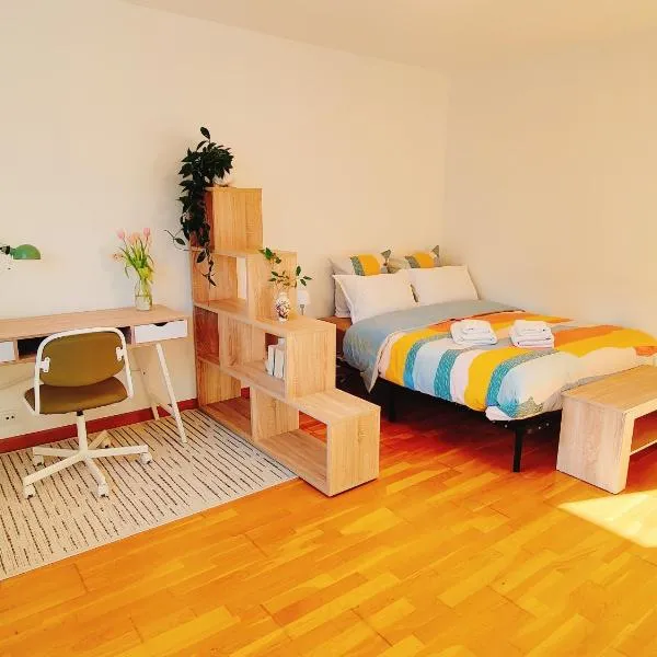 Grand Studio Sécurisé Hypercentre Calme 3 mins de la Gare, Hotel in Thionville