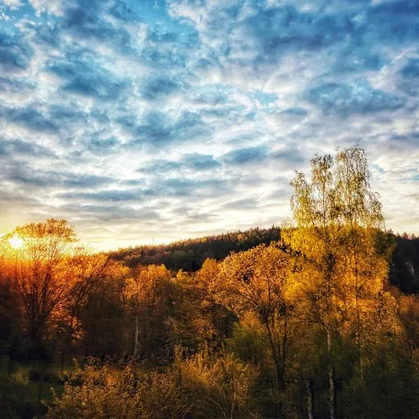 Quartier 3punkt0 alte Steigerbaude, hotel in Bad Gottleuba