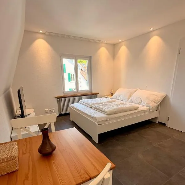 Max Apartments, hotell sihtkohas Schaffhausen