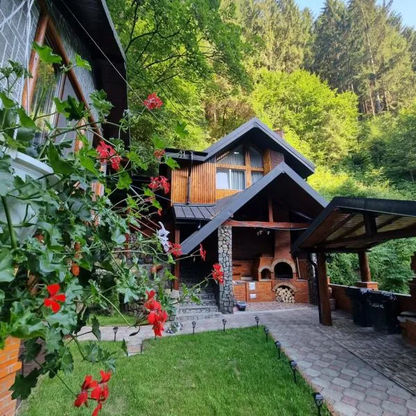 Căbănuța Cocoțată, hotel in Rucăr