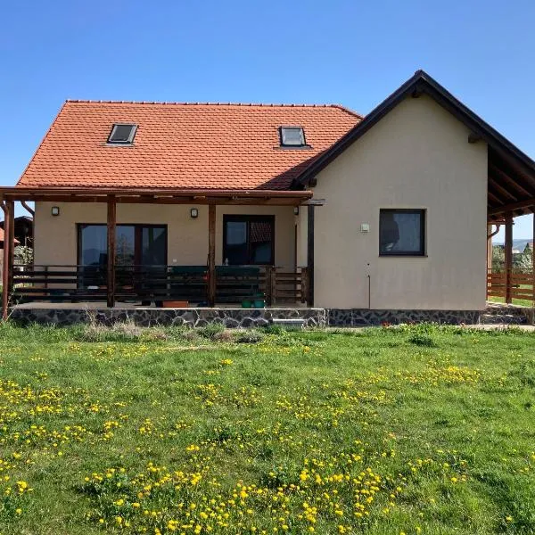 Kankalin vendégház, hotel in Bancu