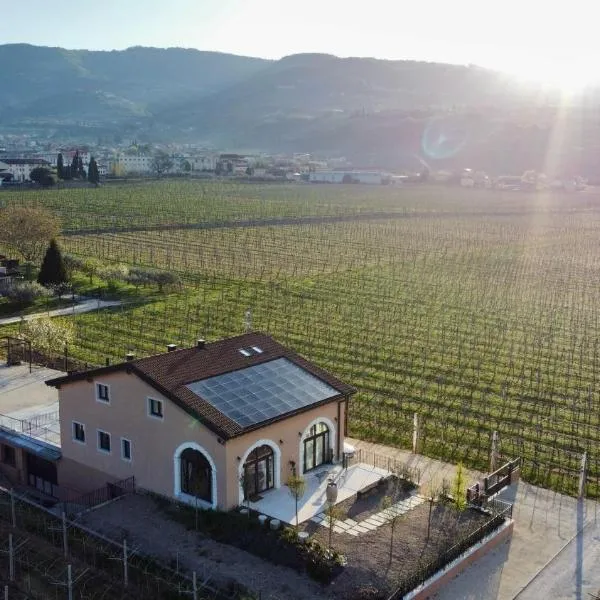 Agriturismo Igino - Camere tra i Vigneti Colazione semplice Parcheggio gratuito, Hotel in Negrar