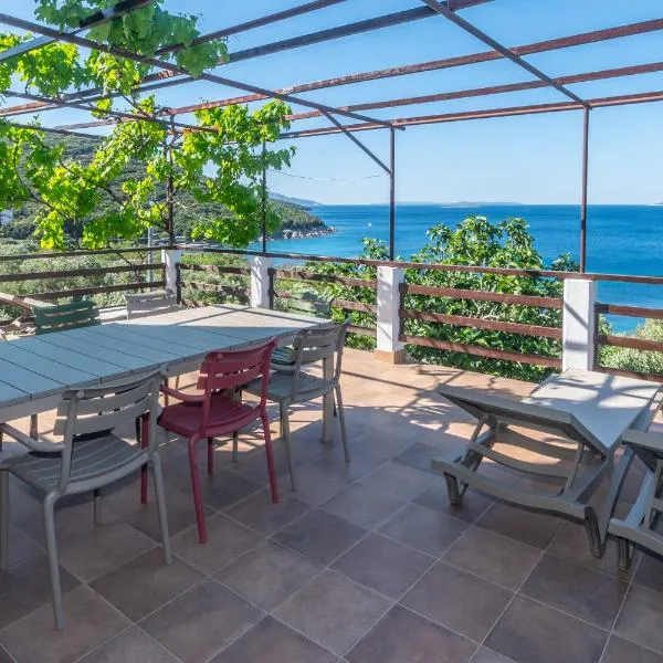 Azure Horizon Villa, Hotel in Miholašćica