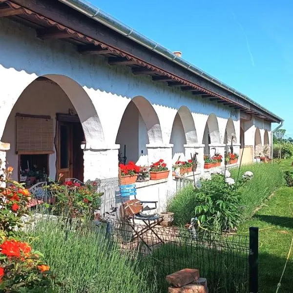 Villa Negra vendégház，位于Balatonfőkajár的酒店