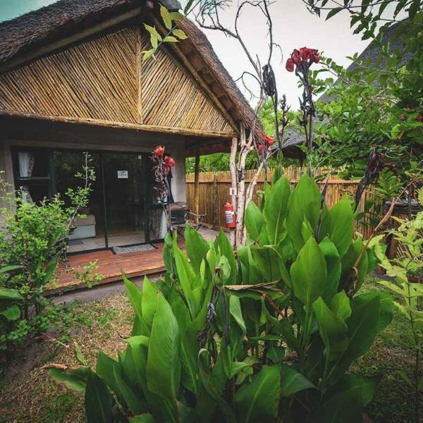 African Excursions Guest lodge, Khwai