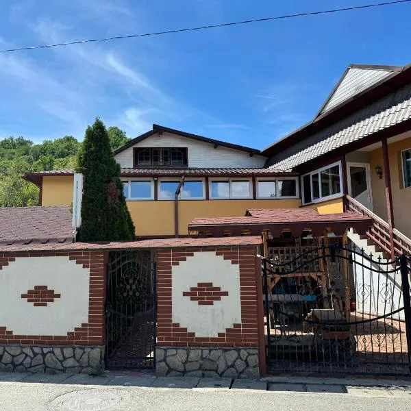 Pensiunea Leo si Georgiana, hotel v destinaci Ocnele Mari