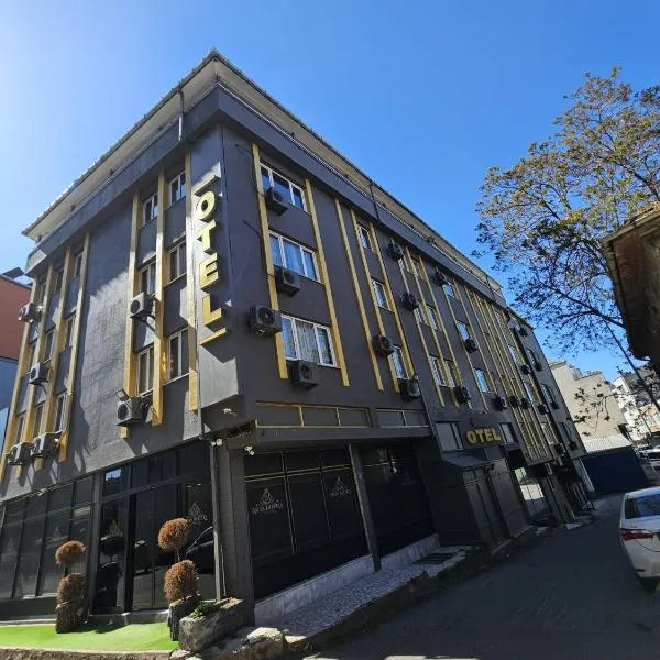 Aras Hotels Çorlu, hotel v destinaci Çorlu