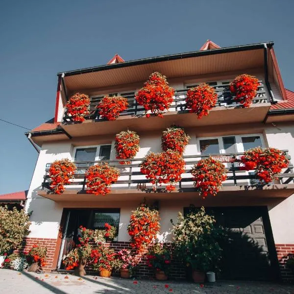 Noclegi u Sokoła, ξενοδοχείο σε Bukowiec