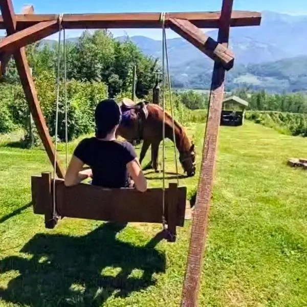 Kolibe Ćorić, hotel en Mojkovac
