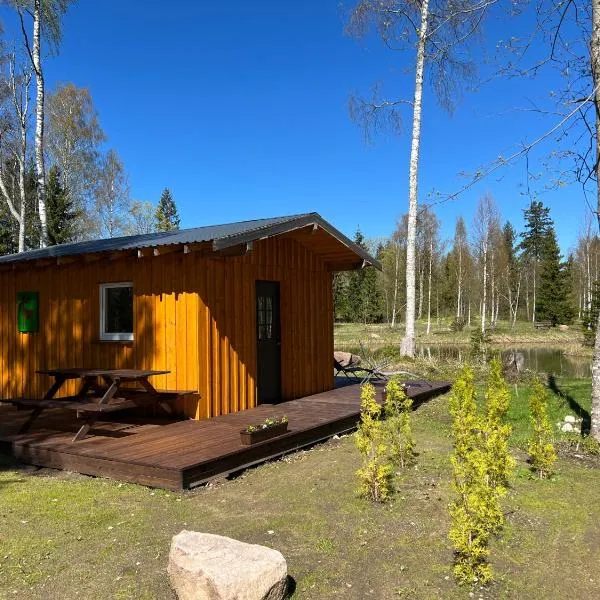 Marika Puhkeküla - Metsanurga Järvemaja, Hotel in Nõva