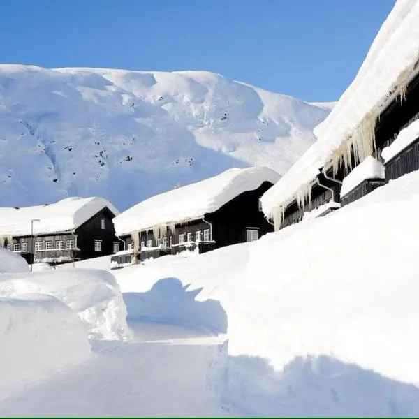Ski in ski out mountain apartment, hotel in Håra
