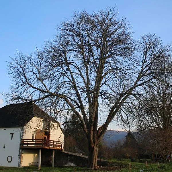 Grange KANDERATZEA, hotel in Tardets-Sorholus