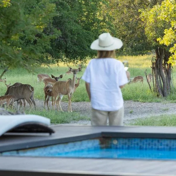 Leopard Plains, hotel in Motopi