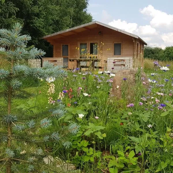 Domki pod Brzózkami、バンビエジツェのホテル