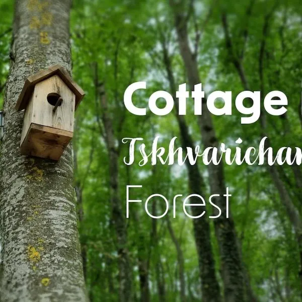 Cottage in Tskhvarichamia forest, hotel in Mtskheta