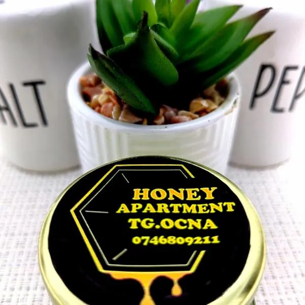Honey apartment: Tîrgu Ocna şehrinde bir otel
