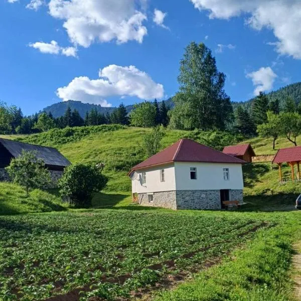 Seosko domaćinstvo Desin Do, hotel em Berane